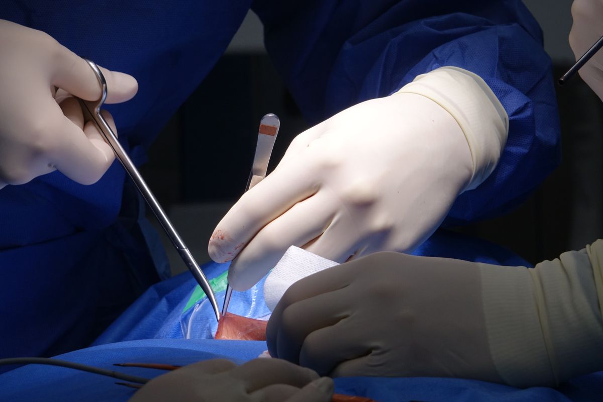 Spine Surgery